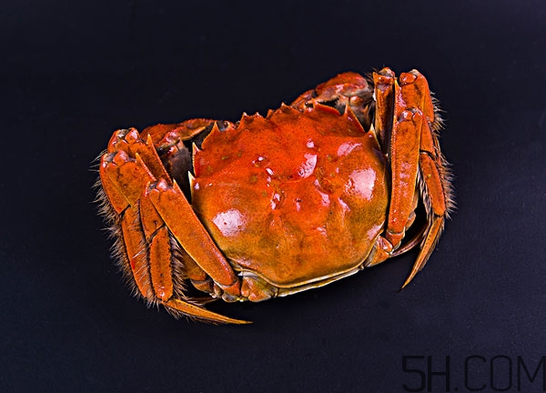 吃了大閘蟹不能吃什么 吃完大閘蟹不能吃什么 吃了大閘蟹不能吃什么 吃完大閘蟹不能吃什么