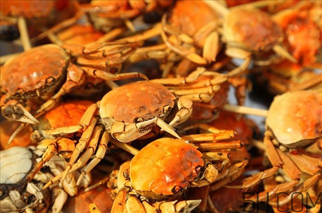 吃了大閘蟹不能吃什么 吃完大閘蟹不能吃什么 吃了大閘蟹不能吃什么 吃完大閘蟹不能吃什么