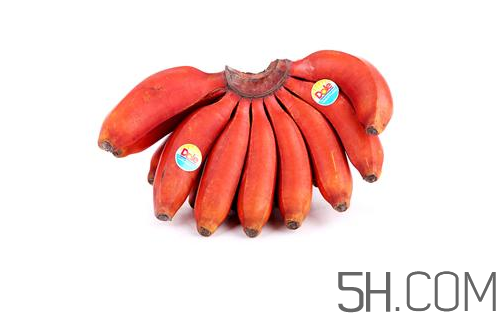 紅香蕉和普通香蕉的區(qū)別？香蕉可以放冰箱冷凍嗎？
