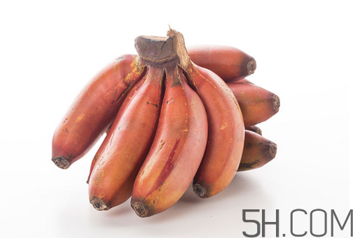 紅香蕉和普通香蕉的區(qū)別？香蕉可以放冰箱冷凍嗎？