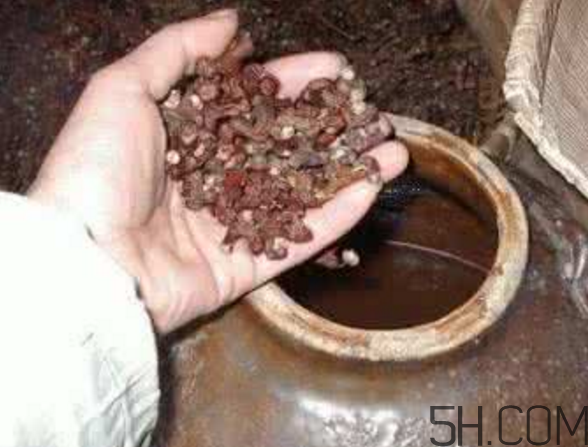 拐棗能泡酒嗎？拐棗能和蜂糖一起泡酒嗎？