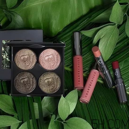 2017秋季新品眼影盤有哪些_試色測評 2017秋季新品眼影盤有哪些_試色測評