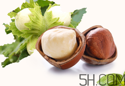 榛子多少錢一斤？榛子如何挑選？