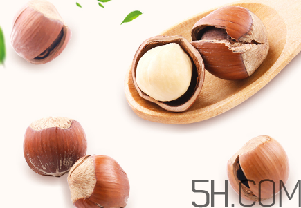 榛子可以天天吃嗎？榛子可以每天吃多少？