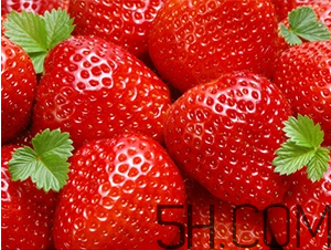 草莓都有哪些熱門品種？草莓怎么放不容易壞？