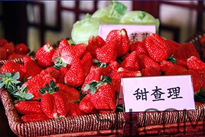 草莓都有哪些熱門品種？草莓怎么放不容易壞？