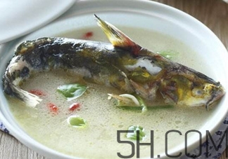 黃骨魚和鯽魚哪個(gè)好？黃骨魚和鯽魚的營養(yǎng)價(jià)值