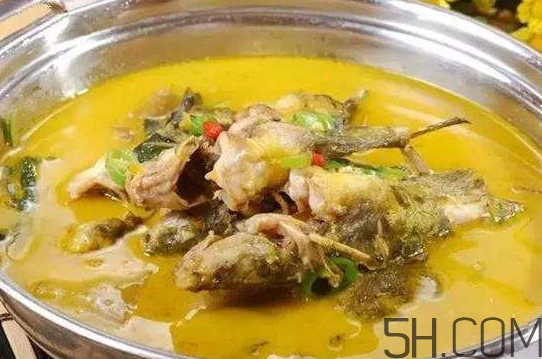 黃骨魚(yú)怎么處理？黃骨魚(yú)怎么清洗？