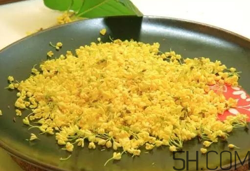 桂花可以放冰箱嗎？新鮮桂花可以放冰箱嗎？