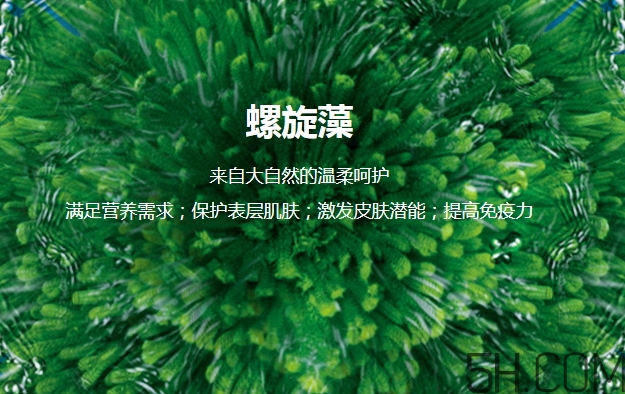 lantern蘭亭是什么牌子？蘭亭是哪個國家的什么檔次