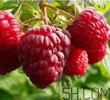 覆盆子有什么作用？覆盆子的營(yíng)養(yǎng)價(jià)值