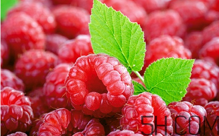 覆盆子茶什么時(shí)候喝？桑葚和覆盆子的區(qū)別