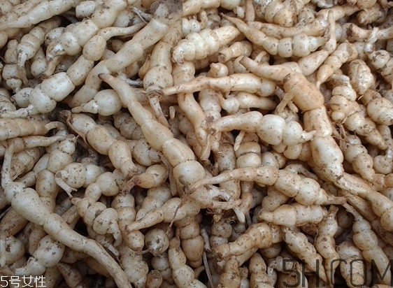 螺絲菜是什么樣的？螺絲菜適合哪些人吃