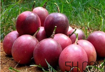 百香果幾月份的最好吃？百香果一次可以吃幾個？