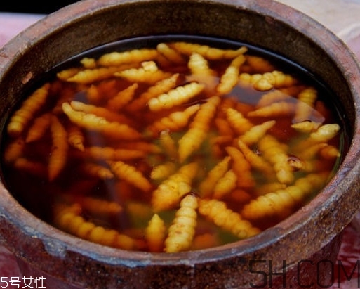 螺絲菜怎么腌制？螺絲菜的種植方法