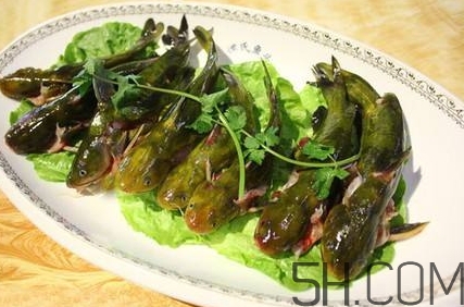 黃骨魚和鯽魚哪個(gè)好？黃骨魚和鯽魚的營養(yǎng)價(jià)值