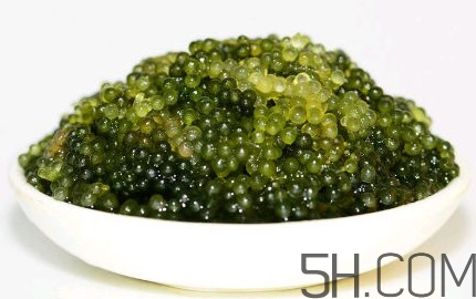 海葡萄多少錢(qián)一斤？海葡萄是什么味道