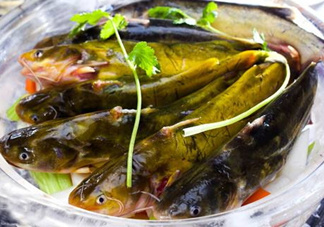 黃骨魚是發(fā)物嗎？黃骨魚是什么魚？