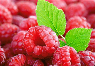 覆盆子有毒嗎？孕婦喝覆盆子茶的注意事項(xiàng)