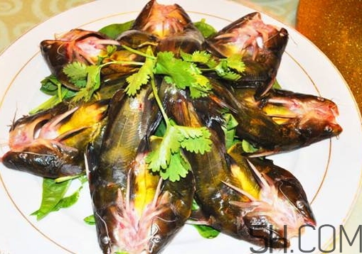 黃骨魚(yú)怎么處理？黃骨魚(yú)怎么清洗？