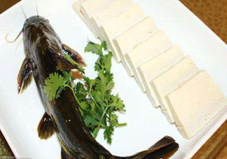 黃骨魚有刺嗎？黃骨魚有毒嗎？