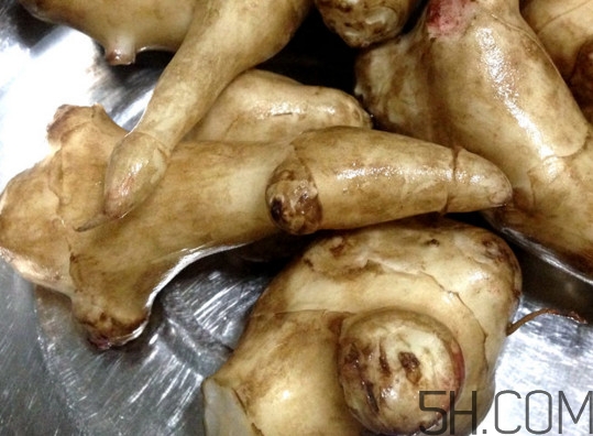 常吃鬼子姜有哪些危害？鬼子姜怎么吃