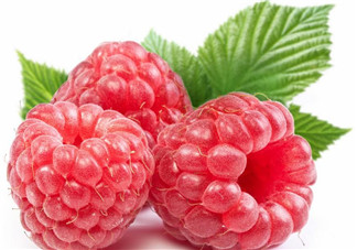 覆盆子的作用有哪些？覆盆子和桑葚哪個好吃？