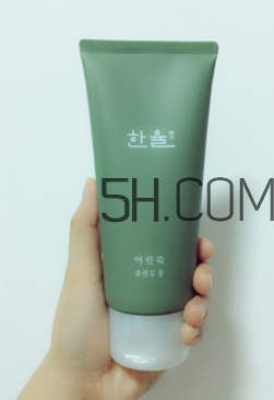 韓律艾草洗面奶怎么樣_成分 韓律艾草洗面奶怎么樣_成分