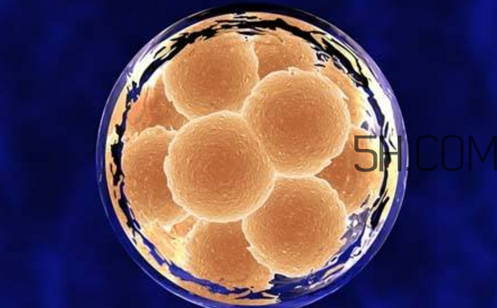 凍胚和鮮胚哪個(gè)成功率比較高？?jī)雠吆王r胚移植的優(yōu)缺點(diǎn)分別是什么？