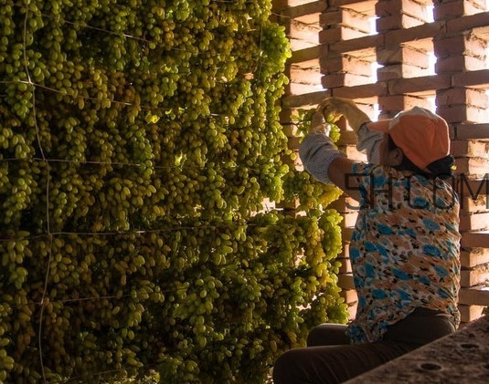 葡萄干怎么做的？葡萄干是酸性還是堿性