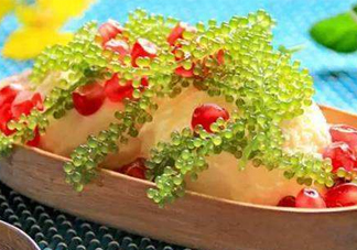 海葡萄有什么功效？海葡萄人工養(yǎng)殖條件