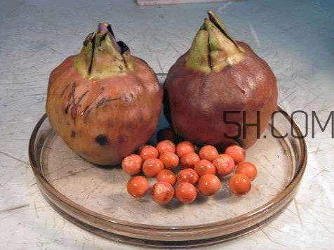 雞頭米什么人不能吃？雞頭米怎么挑選