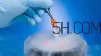 試管嬰兒有什么風(fēng)險？試管嬰兒長大后的弊端