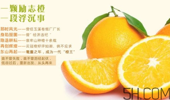 褚橙多少錢一斤？褚橙為什么這么貴