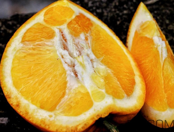 褚橙什么牌子最正宗？褚橙的種植技術(shù)