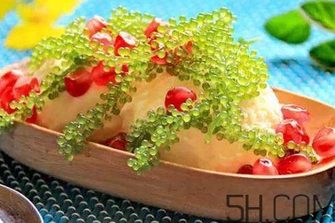 海葡萄有什么功效？海葡萄人工養(yǎng)殖條件