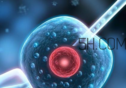 染色體異常可以做試管嬰兒?jiǎn)?？染色體異常能要孩子嗎？