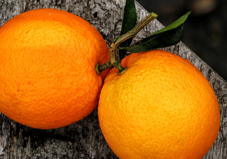 褚橙什么時候上市？褚橙是什么品種