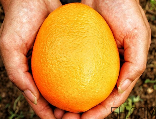 褚橙什么牌子最正宗？褚橙的種植技術(shù)