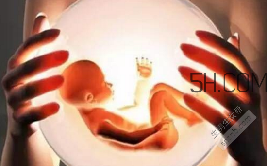 凍胚和鮮胚哪個(gè)成功率比較高？?jī)雠吆王r胚移植的優(yōu)缺點(diǎn)分別是什么？