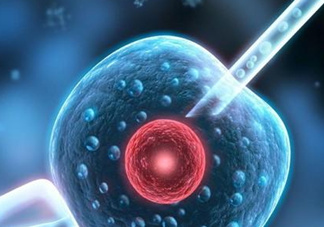 染色體異?？梢宰鲈嚬軏雰簡?？染色體異常能要孩子嗎？