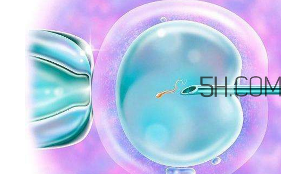 凍胚和鮮胚哪個(gè)成功率比較高？?jī)雠吆王r胚移植的優(yōu)缺點(diǎn)分別是什么？