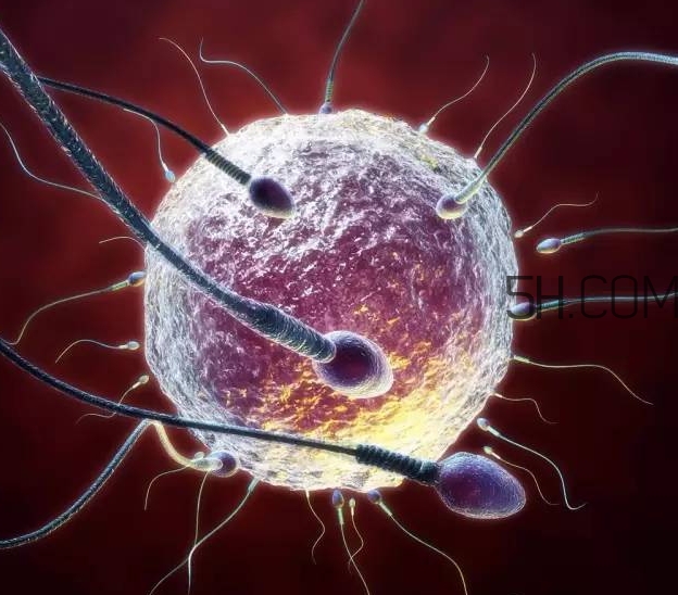 試管嬰兒有什么風(fēng)險？試管嬰兒長大后的弊端