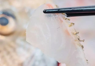 鯛魚怎么做？鯛魚是海魚還是淡水魚