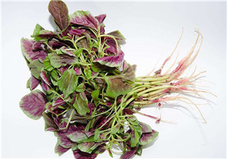 莧菜是酸性還是堿性？吃莧菜有什么好處？