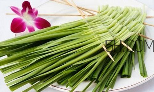 吃韭菜胃疼怎么回事？吃韭菜要注意的禁忌問題