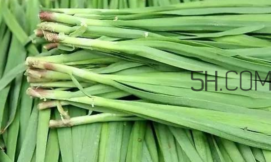 生蠔和韭菜一起吃有什么好處？吃韭菜的好處