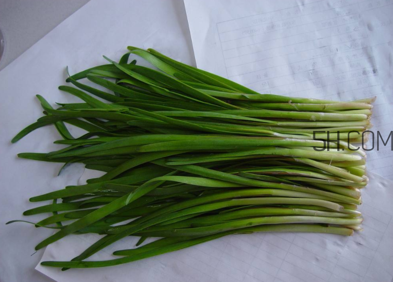 韭菜怎么保存？韭菜傷胃嗎？