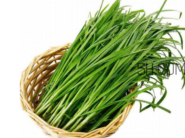 如何挑選新鮮的韭菜？野韭菜與韭菜的區(qū)別