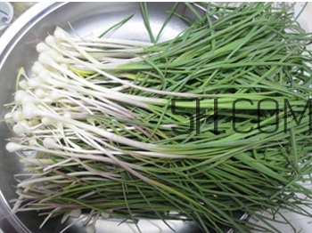 如何鑒別毒韭菜？吃野韭菜的營養(yǎng)價值